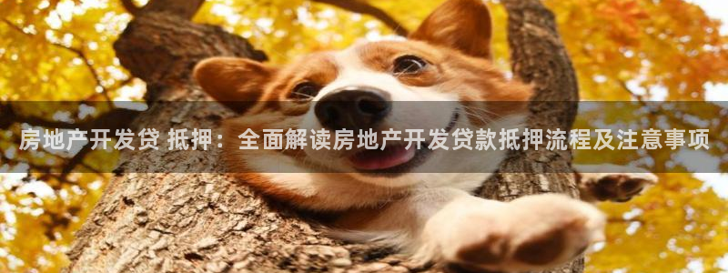 万向娱乐