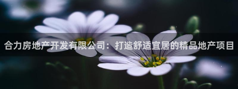 万向娱乐平台怎么下载