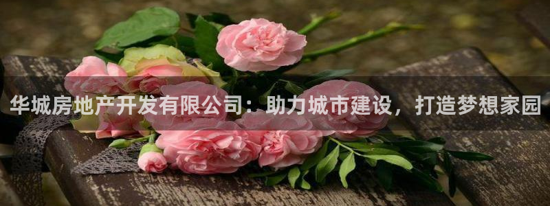 万向娱乐公司 585.34I 娱乐