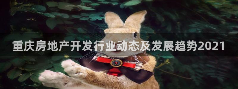 万向娱乐的494o3 主管