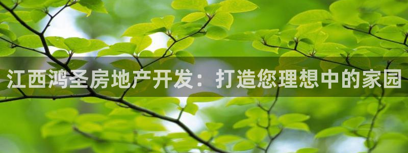 万向娱乐app下载官网