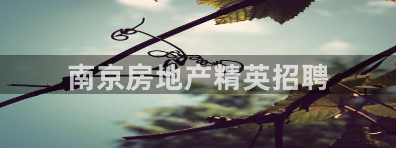 万向娱乐注册登录不了账号