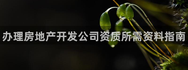万向娱乐下载安装