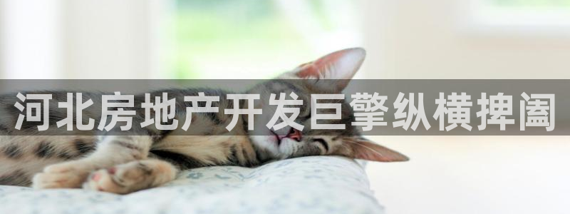 万向娱乐怎么样