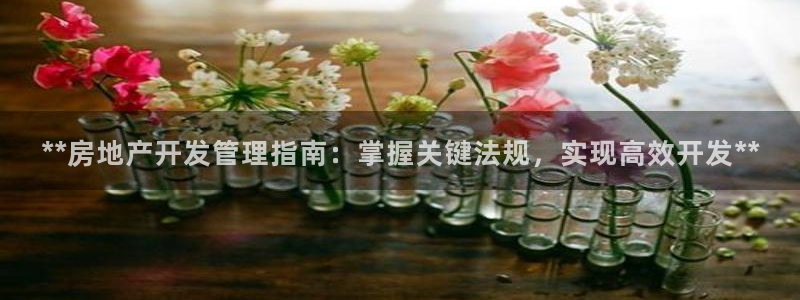 万向娱乐平台注册条件有哪些