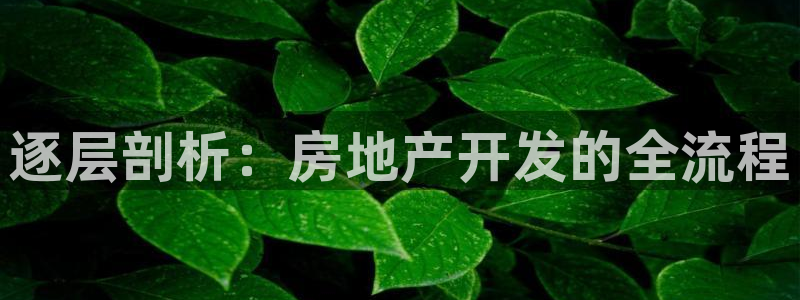 万向娱乐注册登录不上去