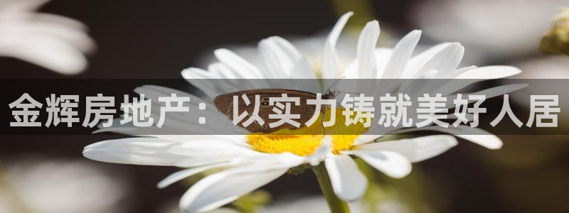万向娱乐注册登录开户