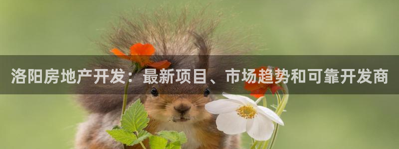 万向娱乐平台下载安装手机版