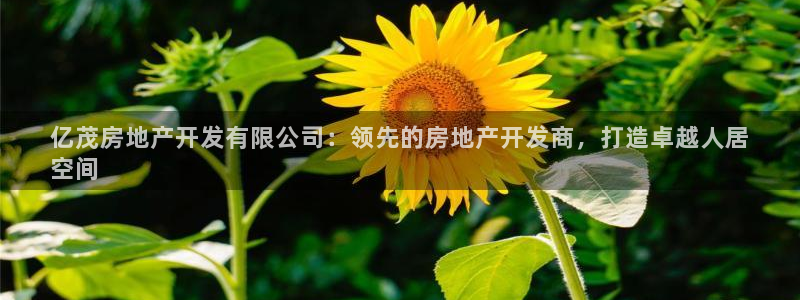 万向娱乐平台招商骗局