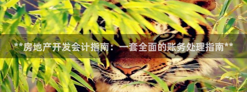 万向娱乐注册登录不上怎么回事