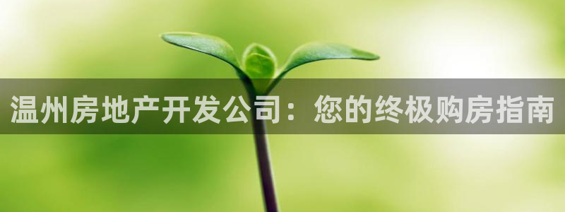 万向娱乐是野鸡台吗