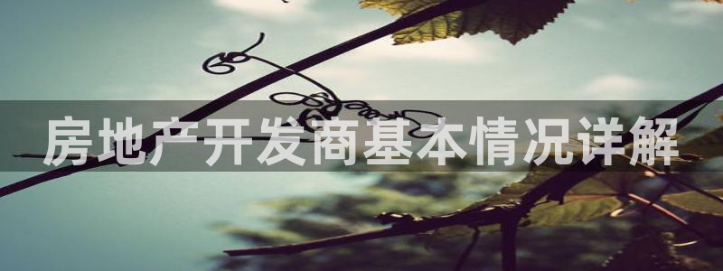 万向娱乐下载安装